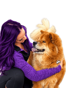 Scratch, Rachel’s beloved Chow Chow